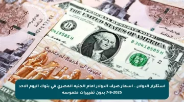 استقرار الدولار.. أسعار صرف الدولار أمام الجنيه المصري في بنوك اليوم الأحد 7-9-2025 بدون تغييرات ملموسة